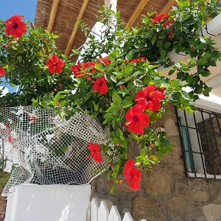 Ferienhaus Hibiscus Rosa Mykonos