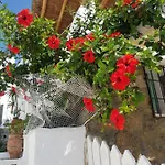 Hibiscus Rosa Mykonos Mykonos Town