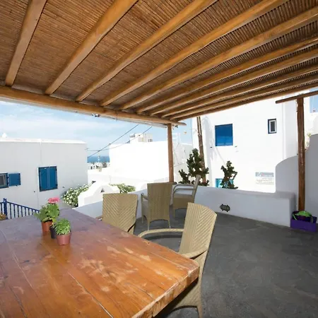 Hibiscus Rosa Mykonos *