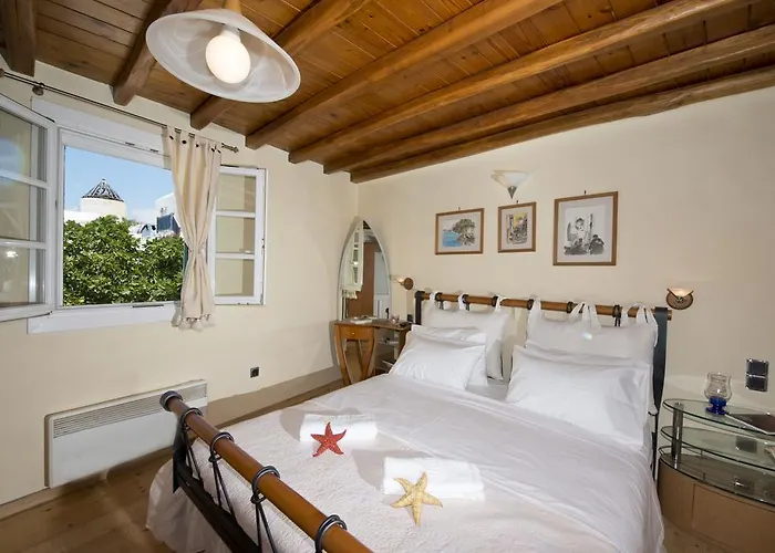 Hibiscus Rosa Mykonos Mykonos Town